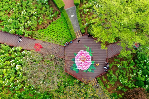 豫見高端，洛賞牡丹，錯過等一年