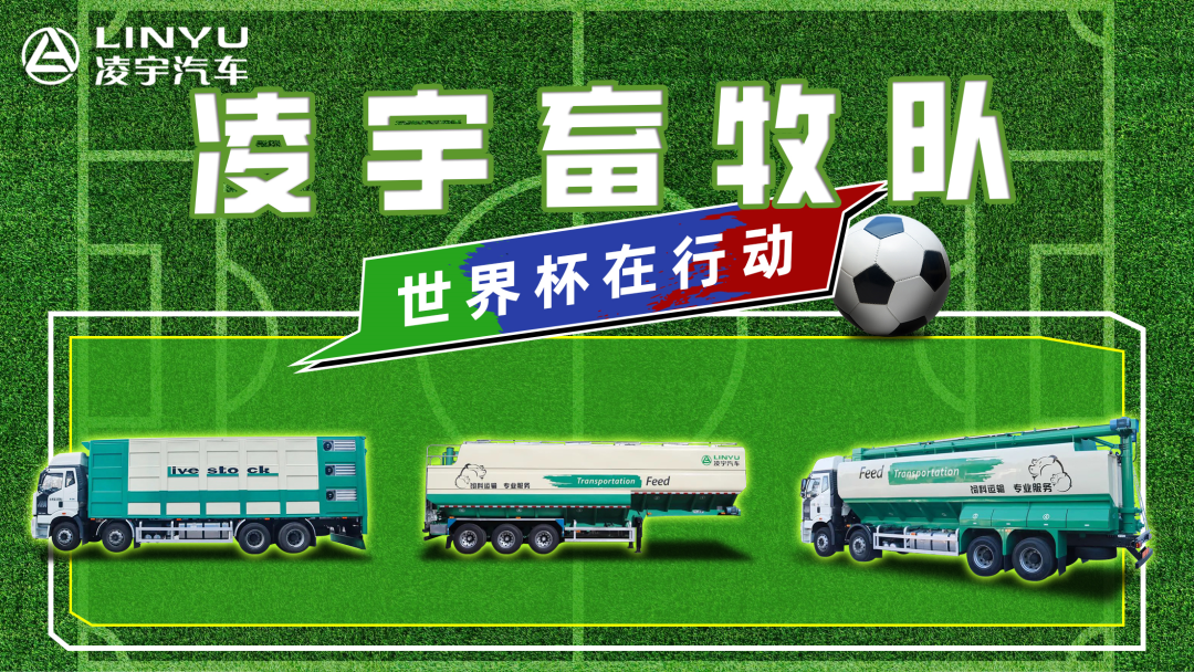 奪冠世界杯！你注意到這支球隊了嗎？